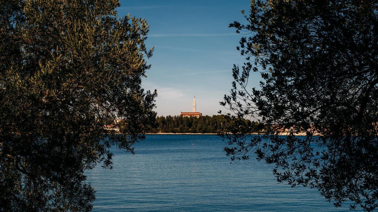 Apartament La Casa Isabella Rovinj Zewnętrze zdjęcie