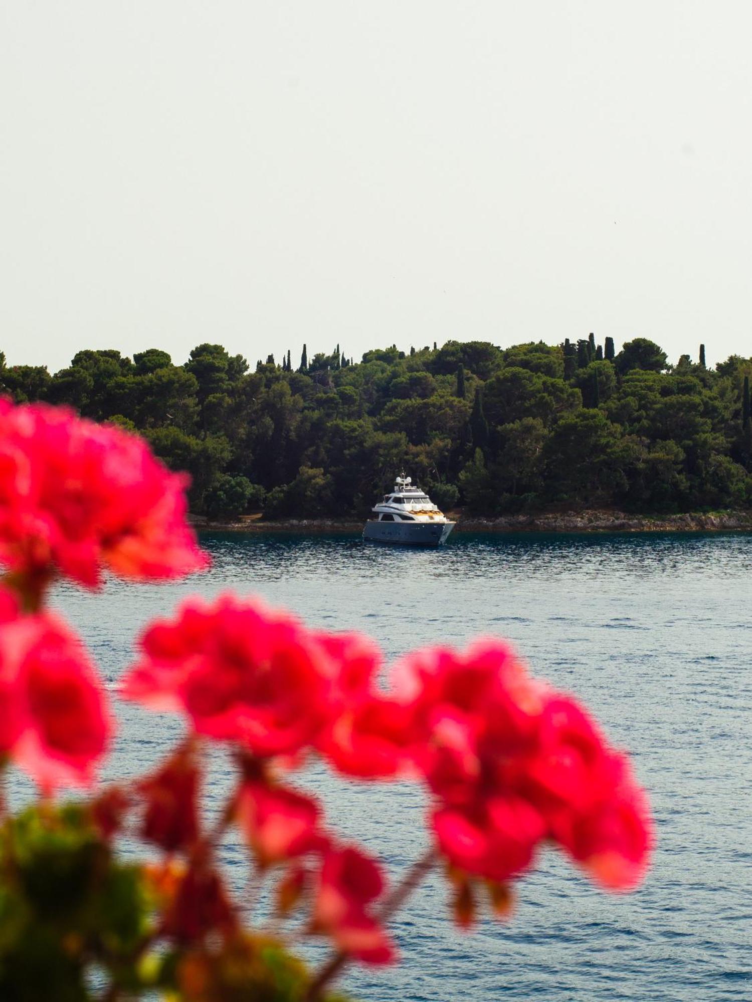Apartament La Casa Isabella Rovinj Zewnętrze zdjęcie